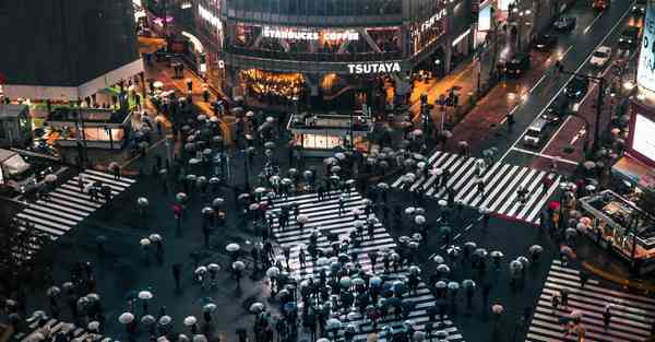 2019年4月6号戌时出生的女孩应该起什么样的名字最好？